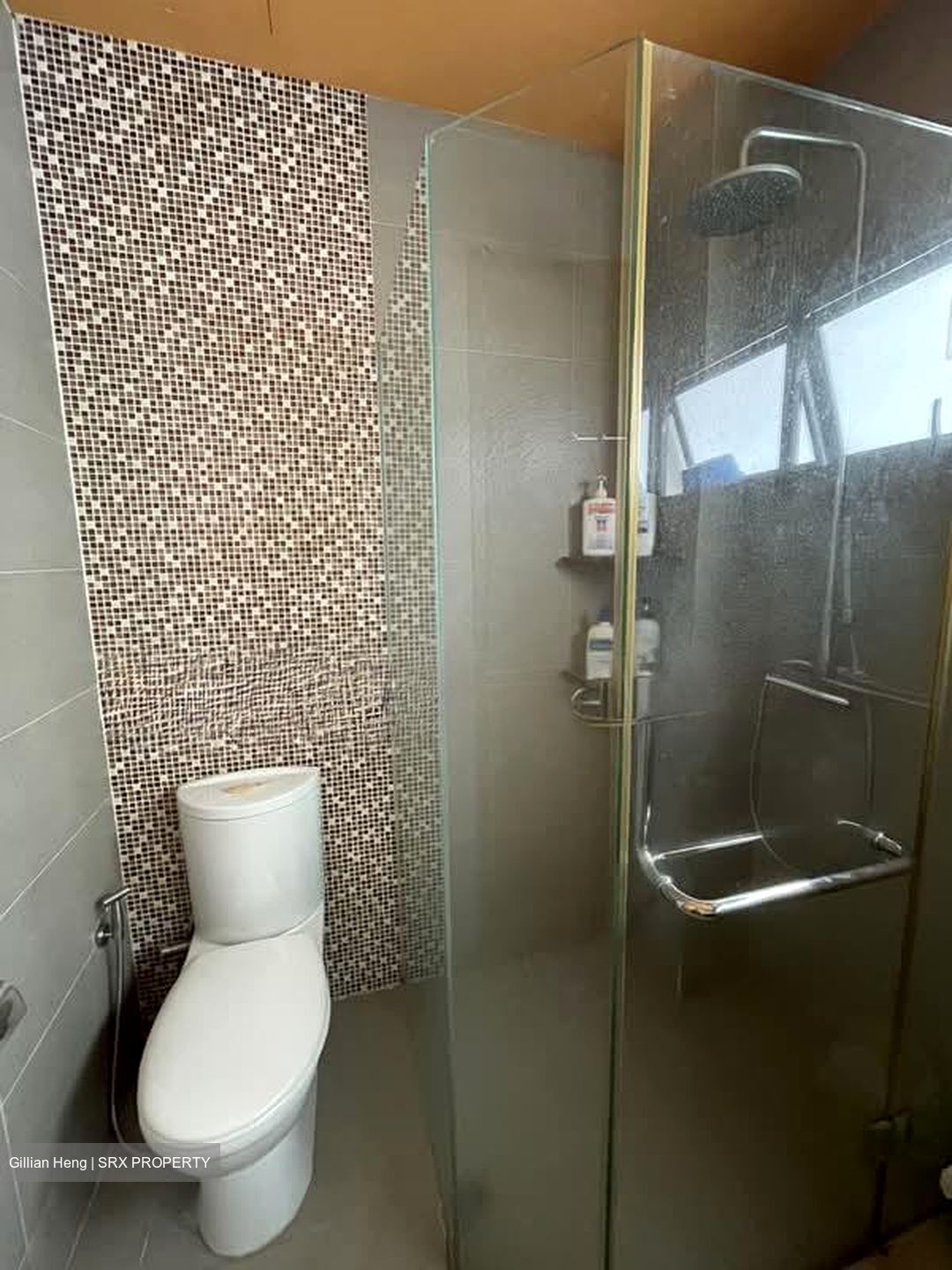 Eng Kong Place (D21), Terrace #529440581